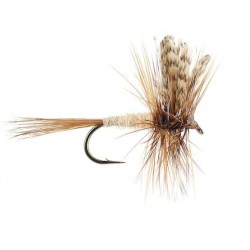 Dries Pure march brown $2.34