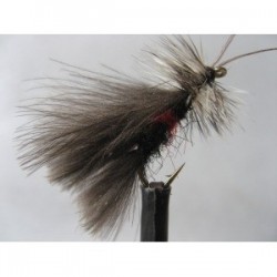 Dries Pure bibio cdc high rider $2.34