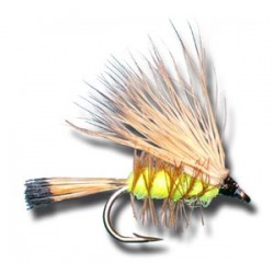 Dries Palmered Caddis Yellow $2.34