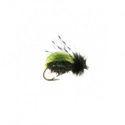 Dries beetle kiwi $2.34