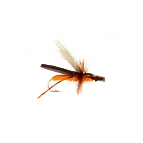 Dries gypsy king orange $2.34