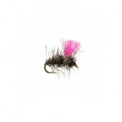 Dries flies $2.34