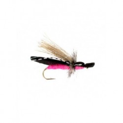 Dries gypsy king pink $2.34