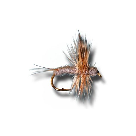 Dries Thorax Adams $2.34