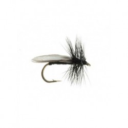 Dries early black stonefly $2.34
