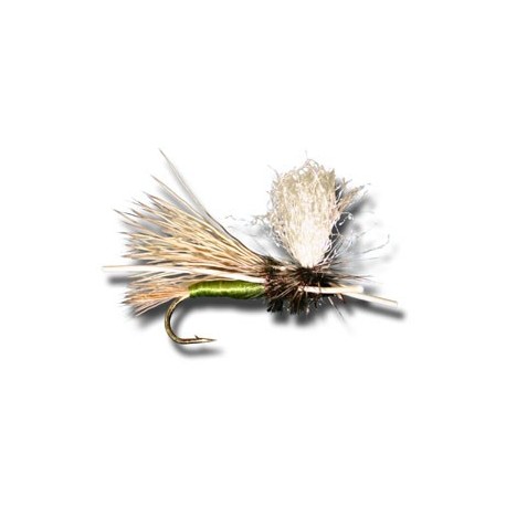 Dries PMX Olive $2.34