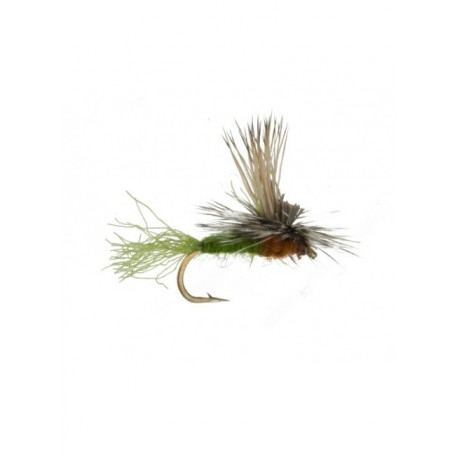 Dries ec caddis olive $2.34