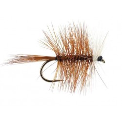 Dries brown bivisible $2.34