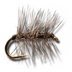 Dries Asher Black $2.34