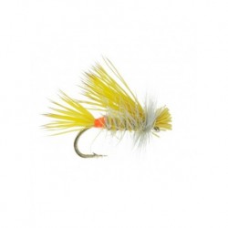 Dries flies $2.34