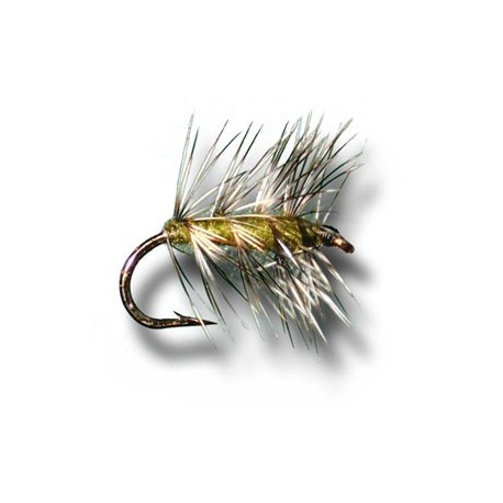 Dries Griffiths Gnat Olive $2.34