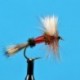 Dries Royal Wulff $2.34