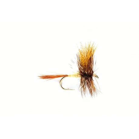 Dries March Brown $2.34