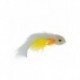 Streamers butt monkey white $2.64