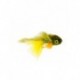 Streamers b. monkey olive $2.64