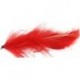 Streamers Bunny Leech Red $2.64