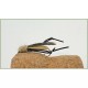 Lures River Bug $3.00