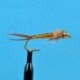 Beaded Nymphs Bead Head Woven Stone Fly Brown $2.42
