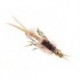 Beaded Nymphs BH Squiggly Estaz Egg FL Yellow $2.42