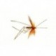 Special Dries Daddy Peacock $2.34