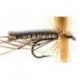 Special Dries light brown daddys $2.34