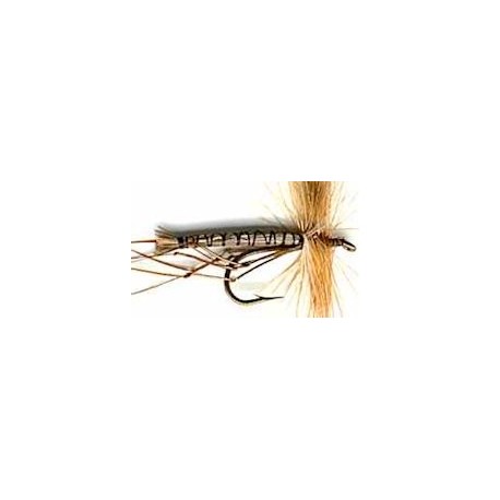 Special Dries light brown daddys $2.34