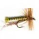 Special Dries olive daddy $2.34
