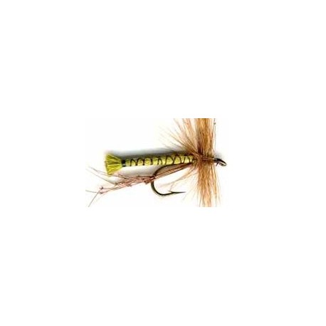 Special Dries olive daddy $2.34