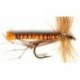 Special Dries orange daddys $2.34
