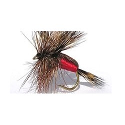 Special Dries red humpy $2.34