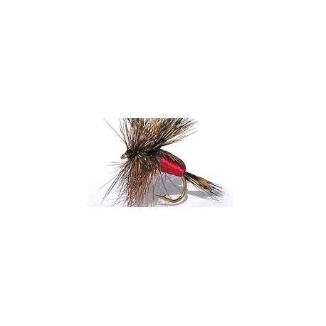 Special Dries red humpy $2.34