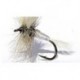 Special Dries white wulff $2.34