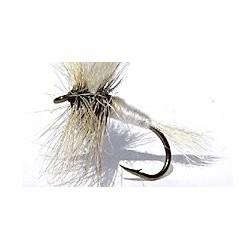 Special Dries white wulff $2.34