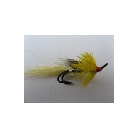 Salmon Doubles atlas shrimp double $6.80