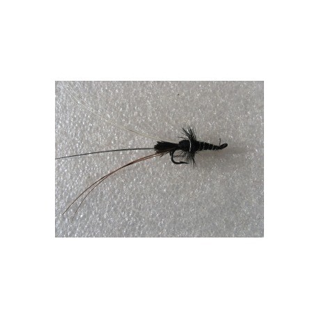 Salmon Doubles black francis double $6.80