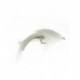 Salmon Singles flesh fly $6.80