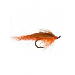 Salmon Singles General Practioner Black $6.80