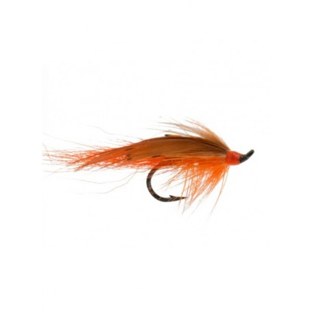 Salmon Singles General Practioner Black $6.80