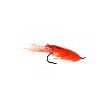 Salmon Singles General Practitioner Pink $6.80