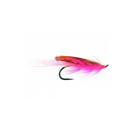 Salmon Singles General Practitioner Purple $6.80