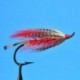 Salmon Singles October Spey  Red $6.80