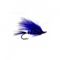 Salmon Singles Purple Peril $6.80