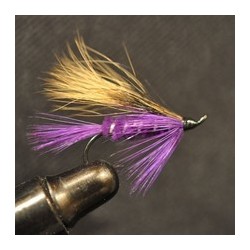 Salmon Singles purple peril $6.80