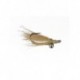 Bonefish Saltwaters bonefish crazy charlie tan $6.80