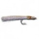 Bonefish Saltwaters Candy Eel Brown $6.80