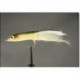 Bonefish Saltwaters Cowans Mullet Side $6.80