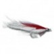 Bonefish Saltwaters Deceiver Red And White $6.80