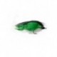 Bonefish Saltwaters deep water baitfish green and black $6.80