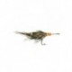 Bonefish Saltwaters keys cockroach $6.80