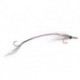 Bonefish Saltwaters young needlefish $6.80
